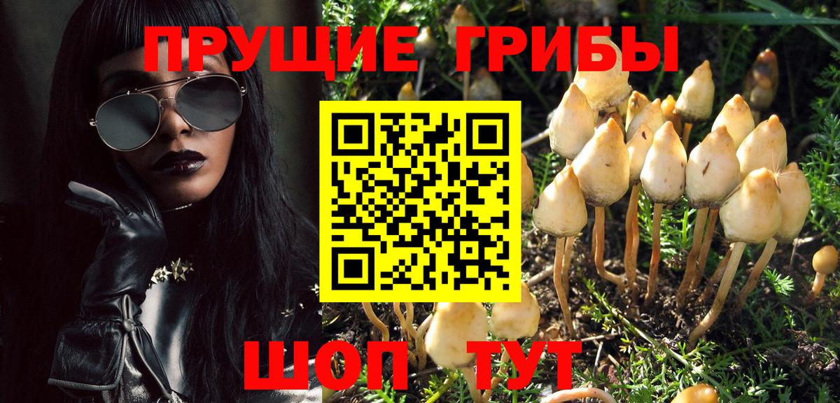 Галлюциногенные грибы Magic Shrooms Тавда